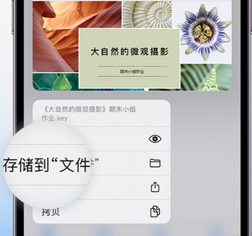 易县apple维修中心分享iPhone文件应用中存储和找到下载文件