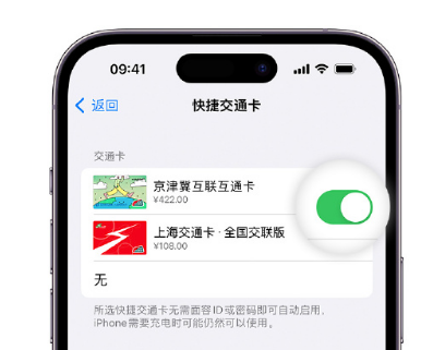 易县apple维修点分享iPhone上更换Apple Pay快捷交通卡手绘卡面 