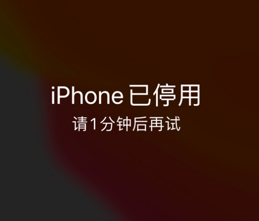 易县苹果手机维修分享:iPhone 显示“不可用”或“已停用”怎么办？还能保留数据吗？ 