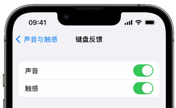 易县苹果手机维修分享iPhone 14触感键盘使用方法 