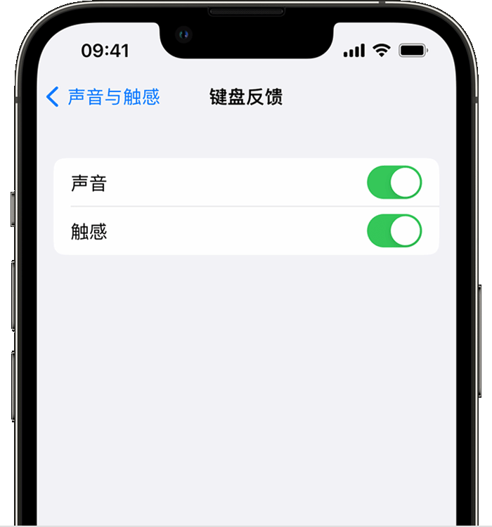 易县苹果14维修店分享如何在 iPhone 14 机型中使用触感键盘 