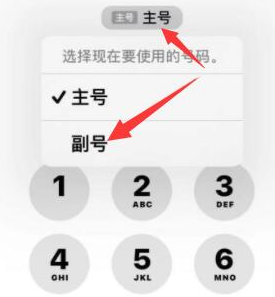 易县苹果14维修店分享iPhone 14 Pro Max使用副卡打电话的方法 