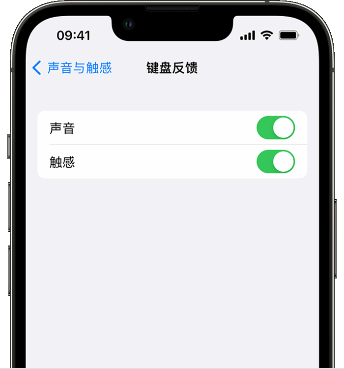 易县苹果14维修分享iPhone 14 系列机型如何开启键盘声音或触感反馈 