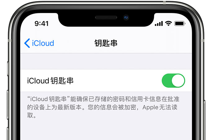 易县苹果手机维修分享在 iPhone 上开启 iCloud 钥匙串之后会储存哪些信息 