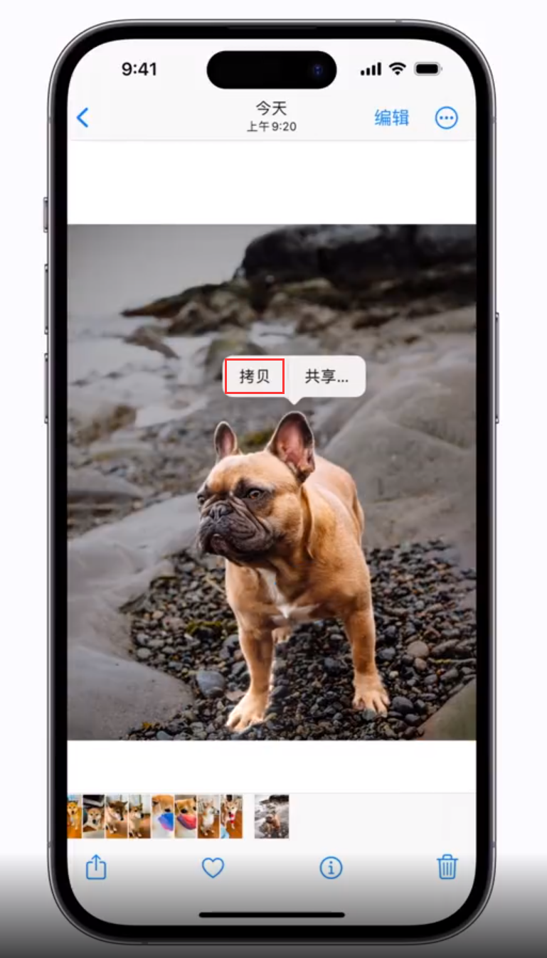 易县苹果手机维修分享 iOS 16 自带一键抠图功能 