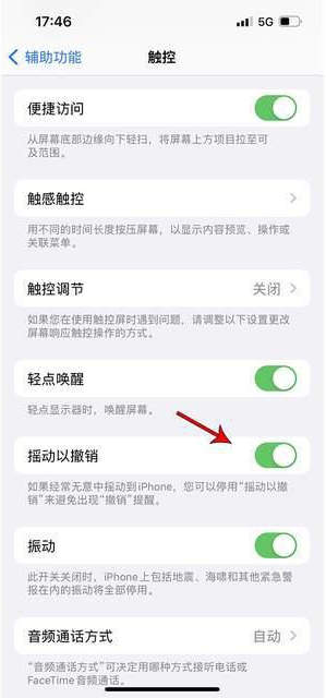 易县苹果手机维修分享iPhone手机如何设置摇一摇删除文字 