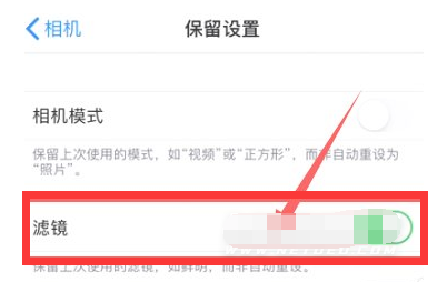 易县苹果13维修分享iPhone13拍照有绿点是怎么回事 