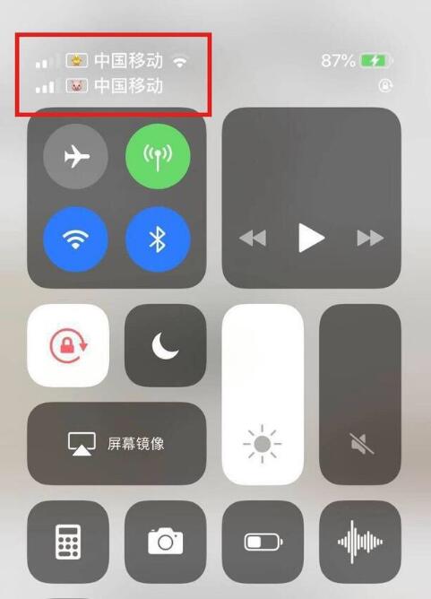 易县苹果手机维修分享为 iPhone 12 双卡设置标签 