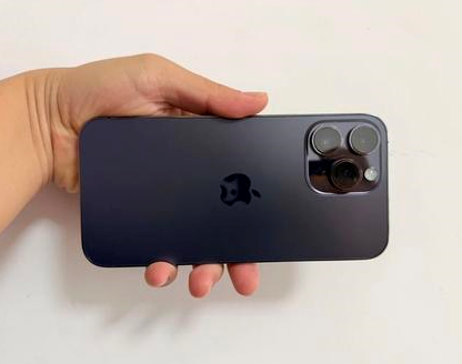 易县苹果维修点分享iPhone 14 Pro Max发烫多重诱因剖析 